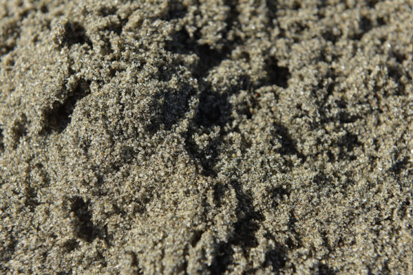 East Coast Sand
