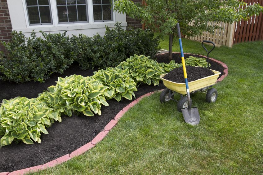 landscaping services auckland